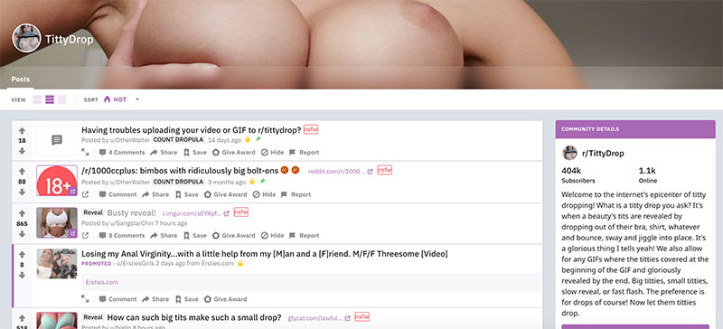 Porn Sub Reddits