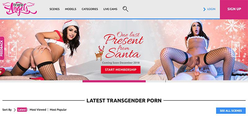 Transangels.Com