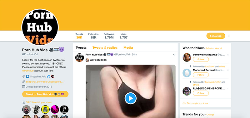 Best Porn Twitter Accounts